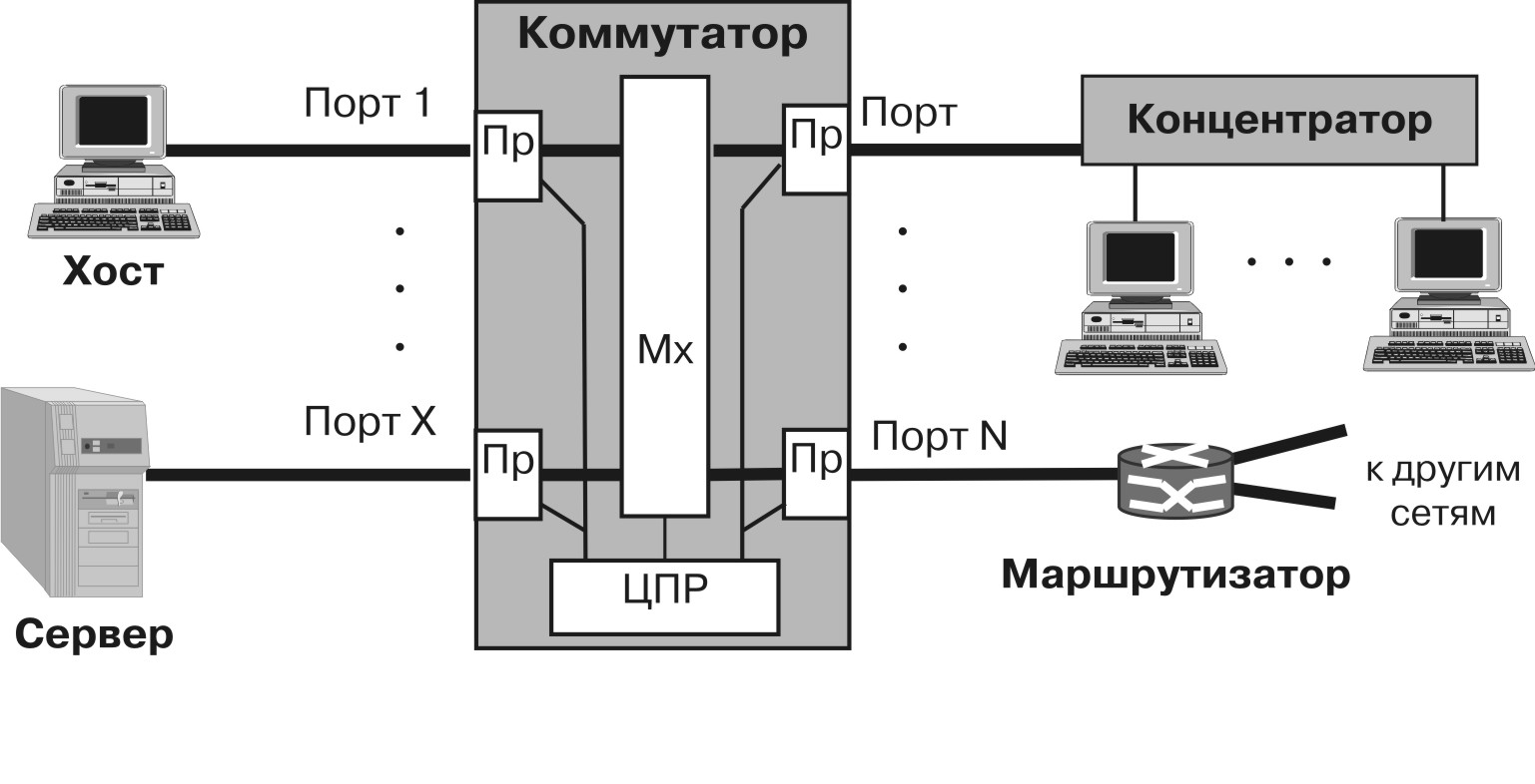 Структура сети с коммутатором, концентратором и маршрутизатором